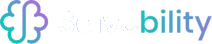 solvebility logo