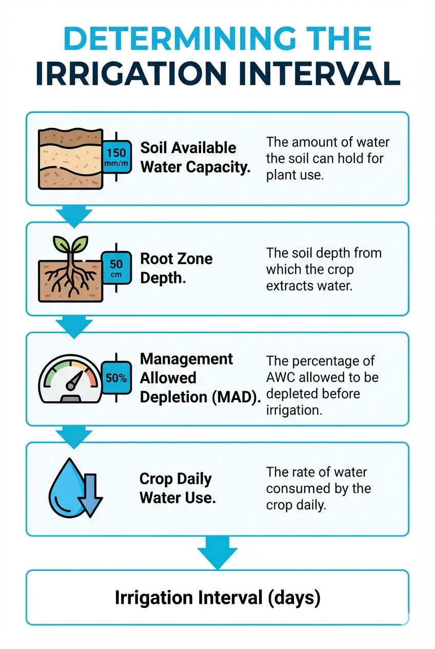Irrigation Water Requirement Calculator Infographic showing the four factors that determine irrigation interval: soil AWC, root depth, MAD, and crop water use